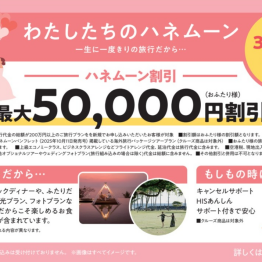 ハネムーナー商品の販売開始！