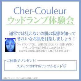 シェルクルール　ウッドランプ　体験会開催