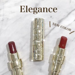  【 新色 】 Elegance抜け感ルージュ 💄🪄✨