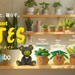 新商品　Plantシリーズ