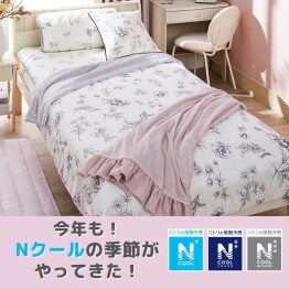 今年も「Nクール」の季節がやってきた！