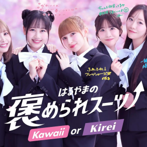 フレッシャーズフェア開催中！