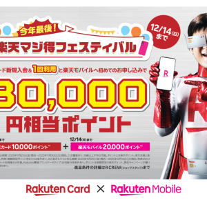 最大30,000円分相当のポイントプレゼント‼