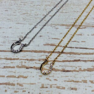 Horse shoe necklace 🐎*+。