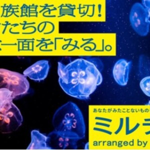 夜の水族館を貸切！生き物たちとの急接近で、これまで知らなかった意外な一面を「みる」