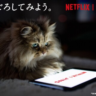 ごろごろしてみよう。JINS HOME® × Netflix