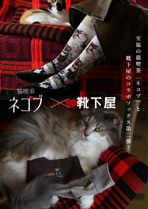 【靴下屋×猫喫茶ネコブ】コラボソックス第二弾発売 🐈🐈‍⬛
