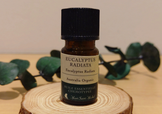 精油・ユーカリのご紹介