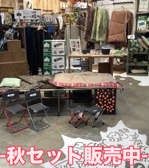 秋セットのご紹介