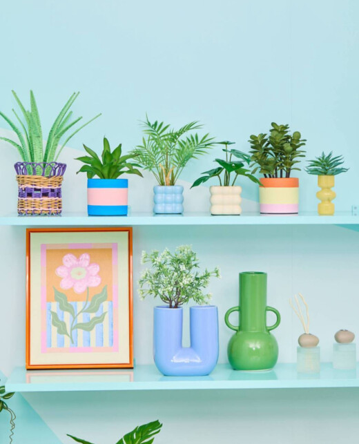 グリーンで空間に癒しを🌿