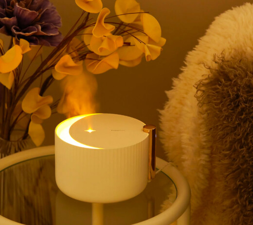 お部屋に潤いを✨