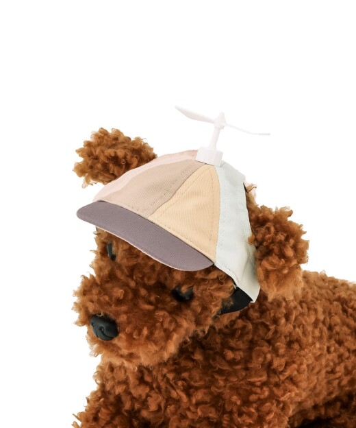 撮影にいかがでしょうか☺