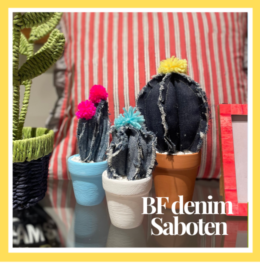 BFデニムサボテン