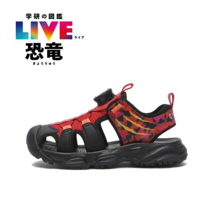 【HAWKINS】【COOL SERIES】【KIDS】