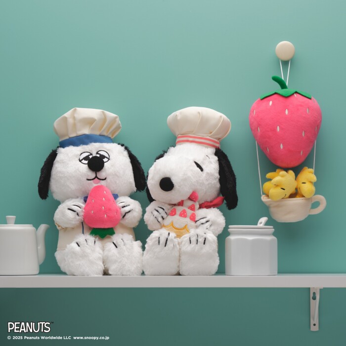 7月9日発売開始!PEANUTS CAKE RECIPES