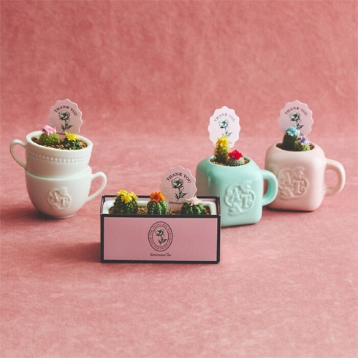 2026.05.10 Mother’s Day