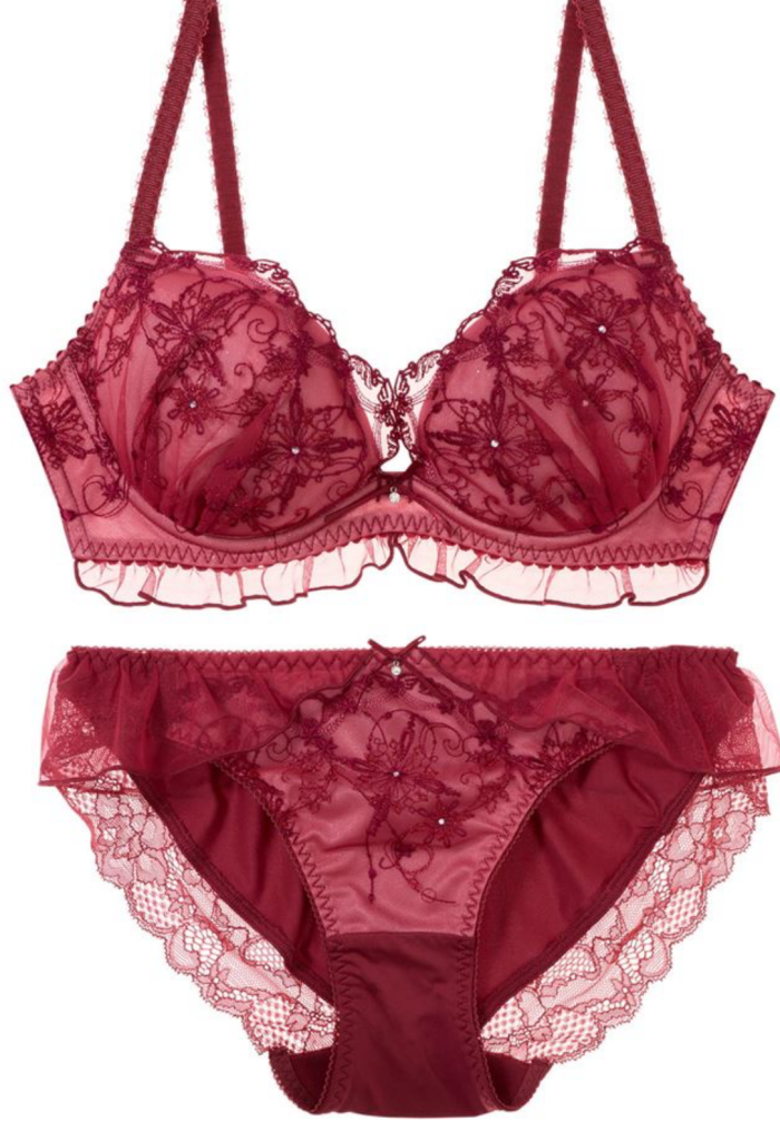 冬の運命のブラ❄️✨新作入荷✨