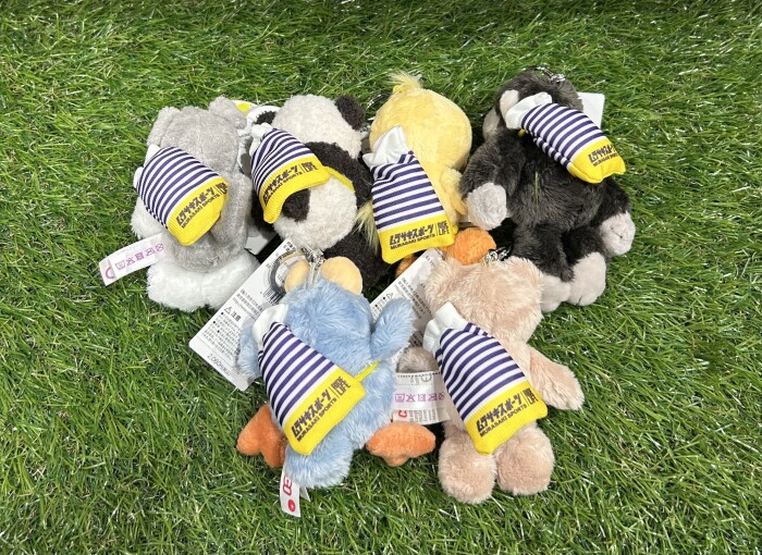 大人気のNICIとムラサキスポーツのコラボ🐰💜