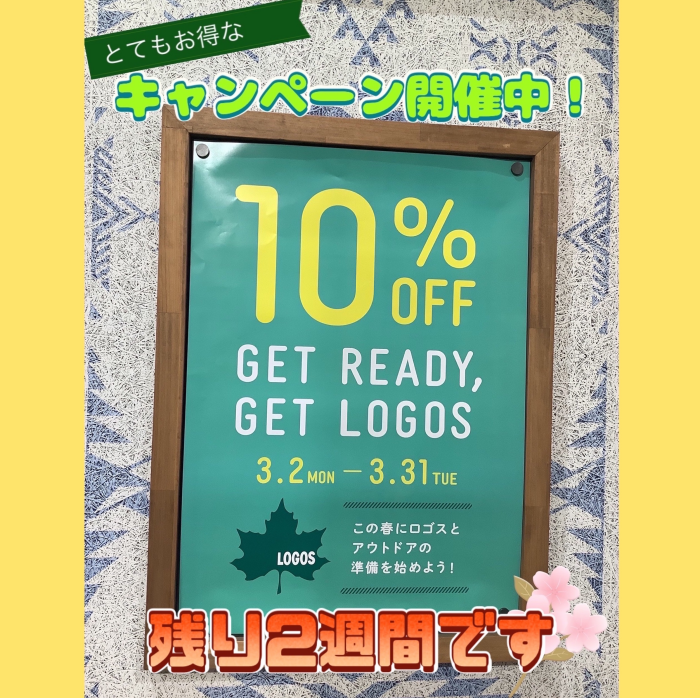 本日より販売開始！！