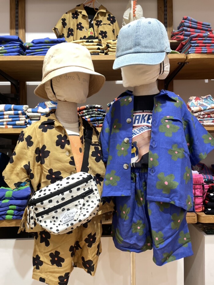 New arrival 🌼🌼