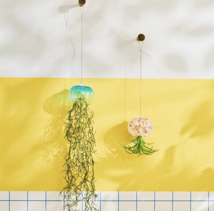 【2026 Summer Collection🐠🫧】