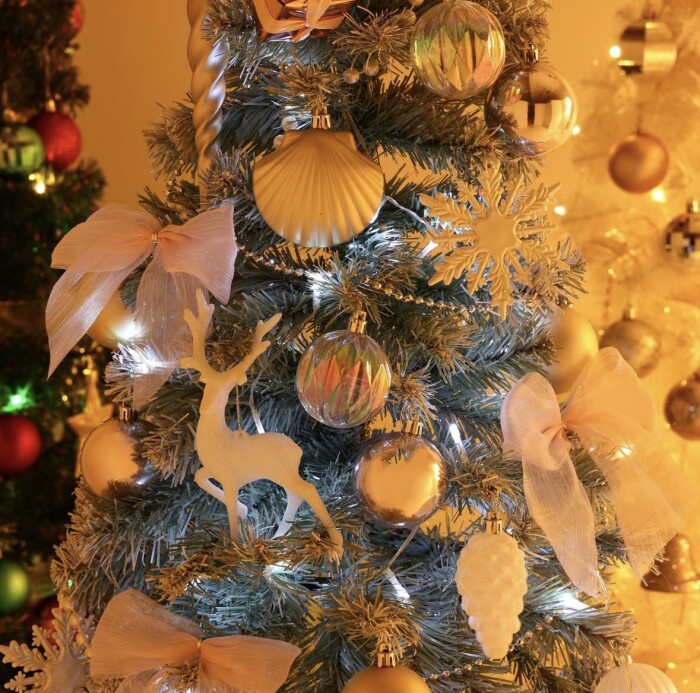 【New!】毎年大好評なお得セット🎄✨